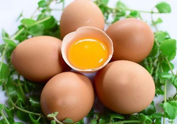 Trứng là nguồn dinh dưỡng rất tốt cho não bộ